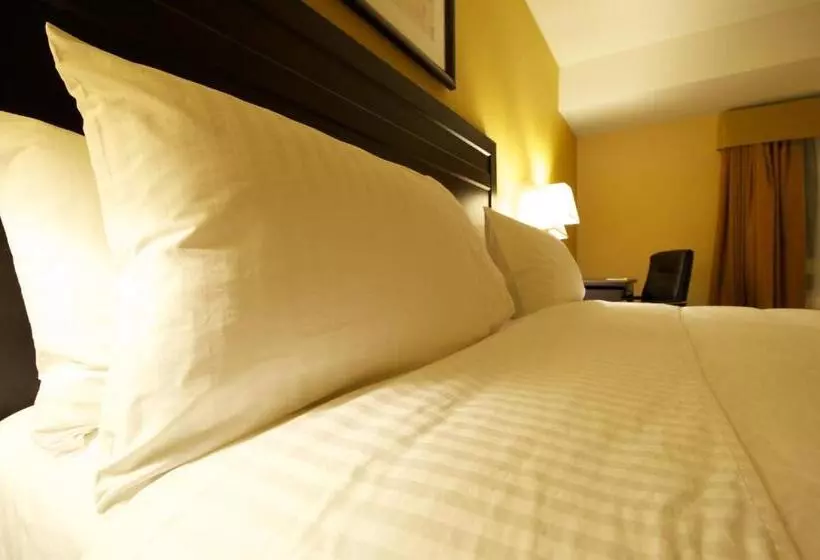 キングサイズベッドのデラックススイート, Days Inn & Suites By Wyndham Winnipeg Airport Manitoba