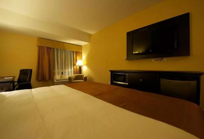 キングサイズベッドのデラックススイート, Days Inn & Suites By Wyndham Winnipeg Airport Manitoba