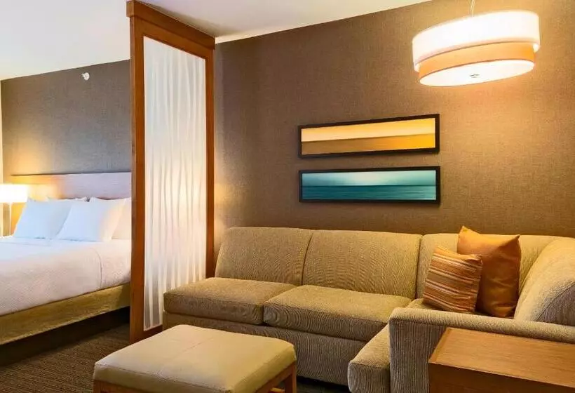 キングサイズベッドのスタンダードルーム, Hyatt Place Los Cabos