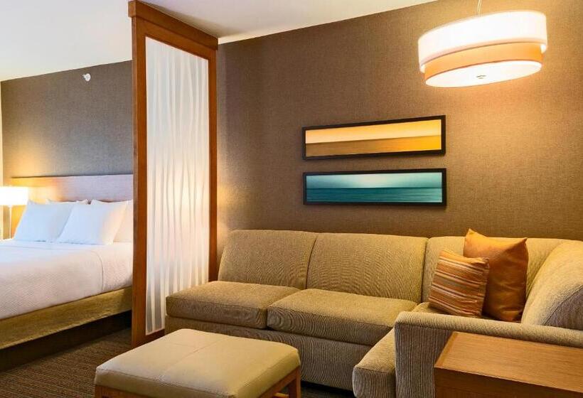 חדר סטנדרט נוף לים, Hyatt Place Los Cabos