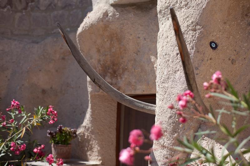 Студия Стандарт, Les Maisons De Cappadoce