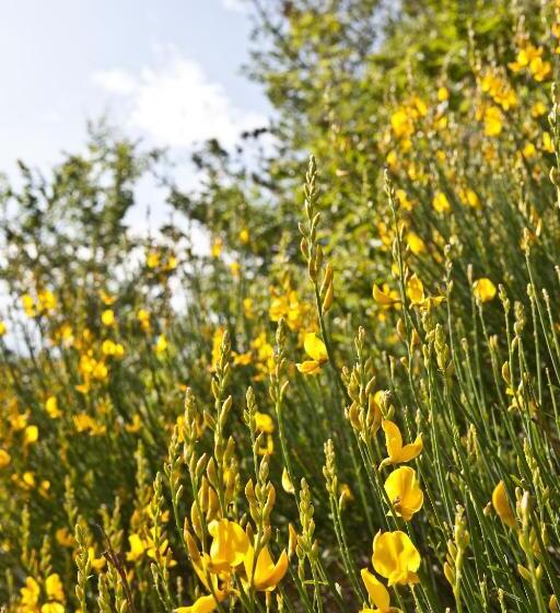 شقة غرفة واحدة, Relais Parco Del Subasio