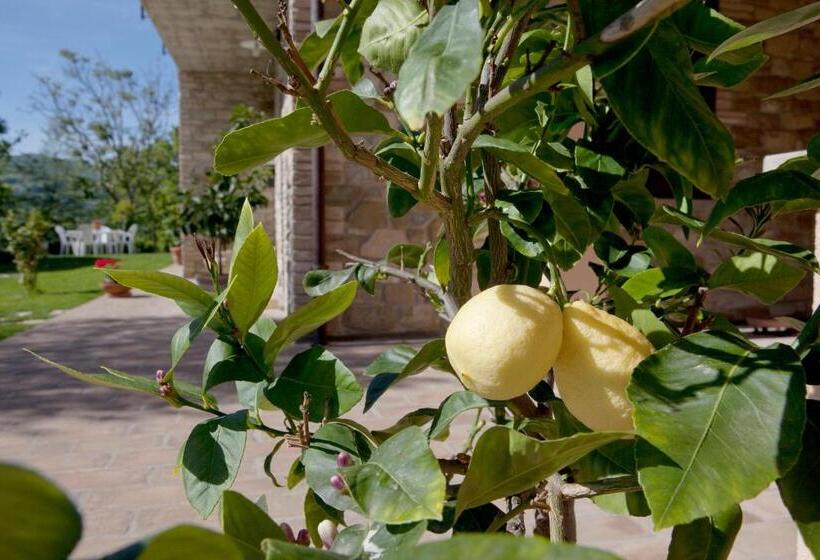 شقة غرفة واحدة, Relais Parco Del Subasio