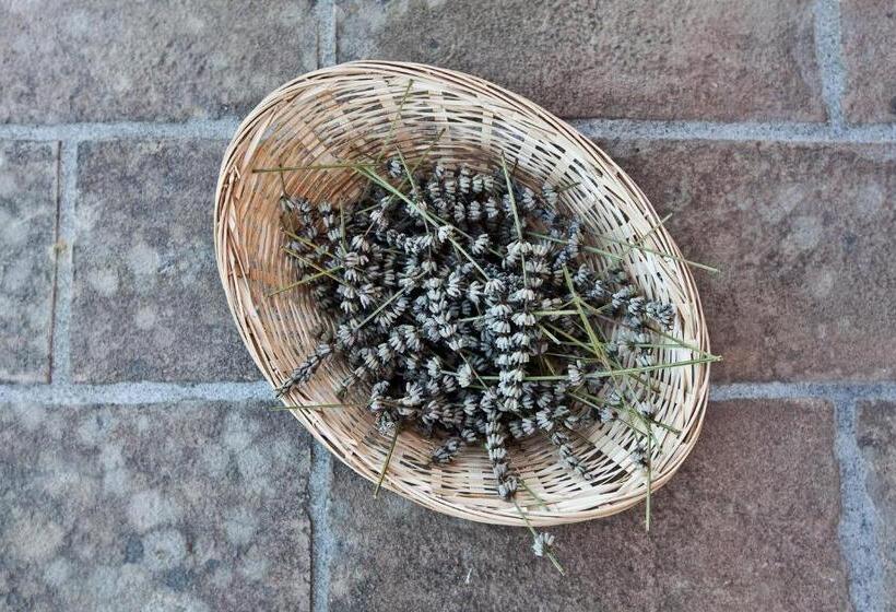 شقة غرفتين, Relais Parco Del Subasio