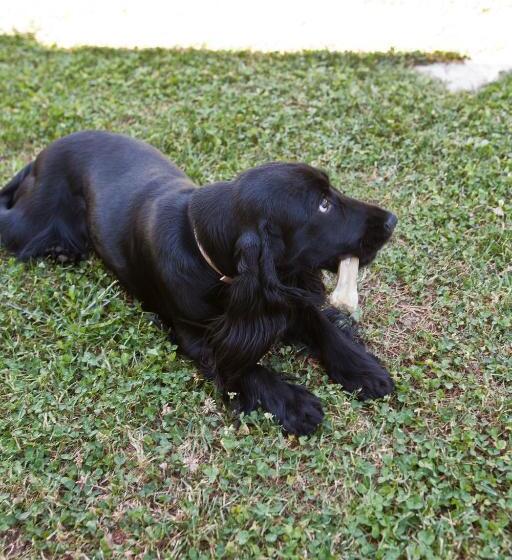 شقة سوبيريور غرفتين, Relais Parco Del Subasio