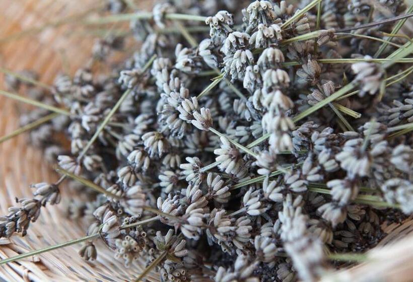 شقة سوبيريور غرفتين, Relais Parco Del Subasio