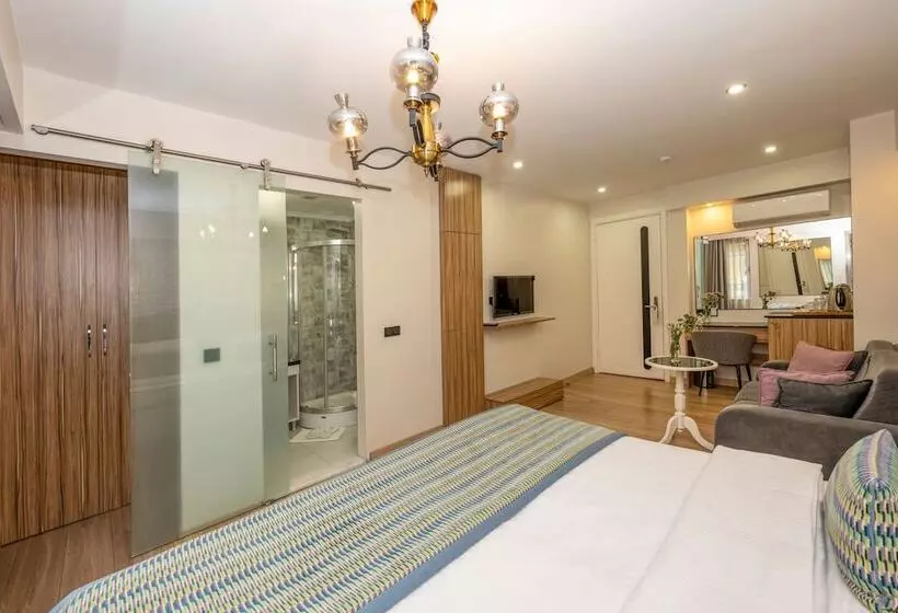 デラックスルーム, The Marions Suite Istanbul Special Category