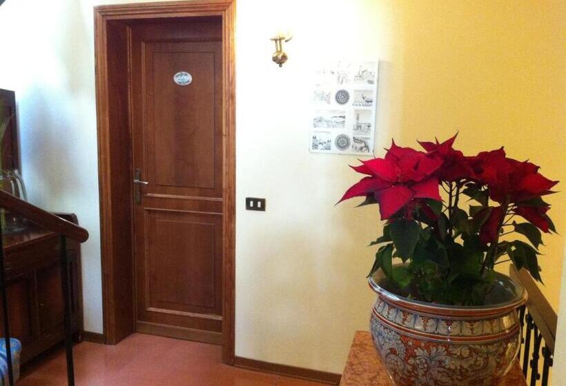 חדר סטנדרט, Pallotta