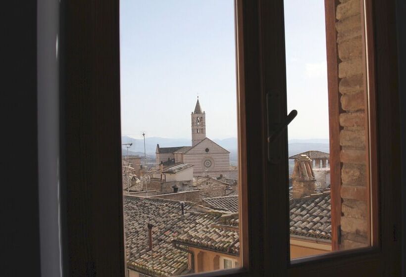 חדר סטנדרט יחיד, Pallotta