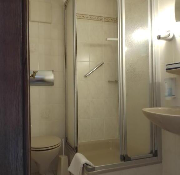 غرفة كلاسيكية فردية, Waldblick Bsr Mit Kostenlose Bonuskarten Für Schifffahrten, Thermen, Museen Ab 2 Nächte