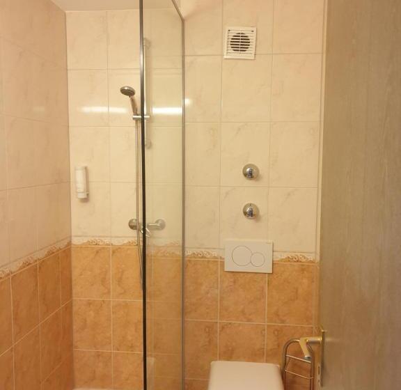 经典单人间, Waldblick Bsr Mit Kostenlose Bonuskarten Für Schifffahrten, Thermen, Museen Ab 2 Nächte