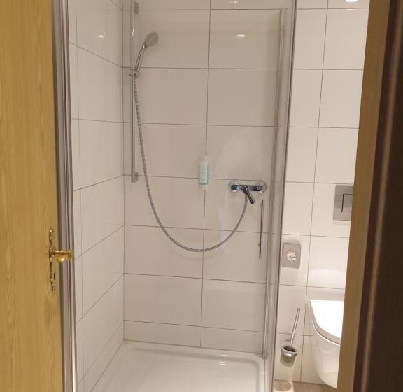 高级大房间, Waldblick Bsr Mit Kostenlose Bonuskarten Für Schifffahrten, Thermen, Museen Ab 2 Nächte