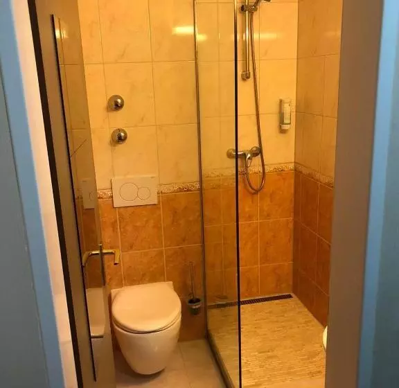 シングルベーシックルーム, Waldblick Bsr Mit Kostenlose Bonuskarten Für Schifffahrten, Thermen, Museen Ab 2 Nächte