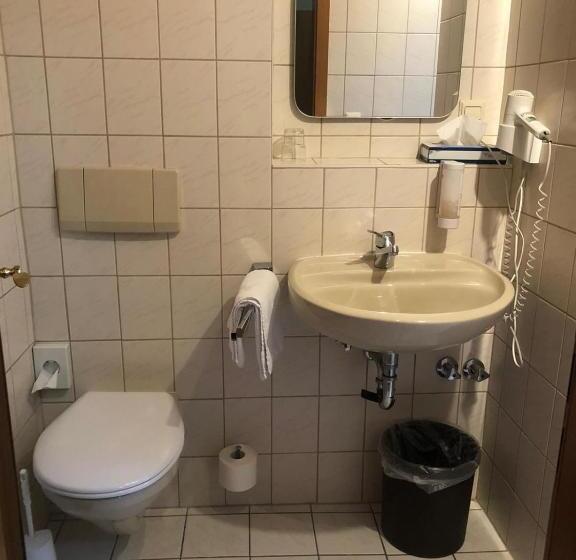 单人基本间, Waldblick Bsr Mit Kostenlose Bonuskarten Für Schifffahrten, Thermen, Museen Ab 2 Nächte