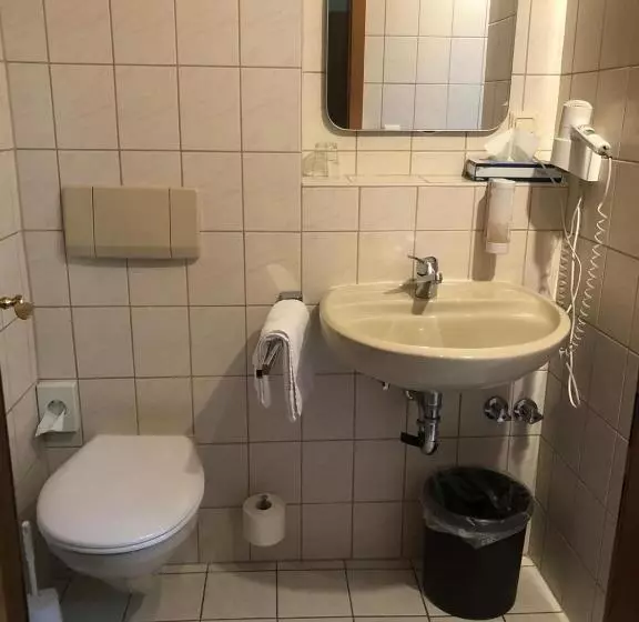 シングルベーシックルーム, Waldblick Bsr Mit Kostenlose Bonuskarten Für Schifffahrten, Thermen, Museen Ab 2 Nächte