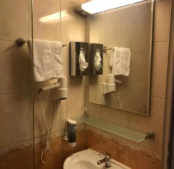 シングルベーシックルーム, Waldblick Bsr Mit Kostenlose Bonuskarten Für Schifffahrten, Thermen, Museen Ab 2 Nächte