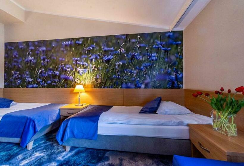 Номер Стандарт, Metropol