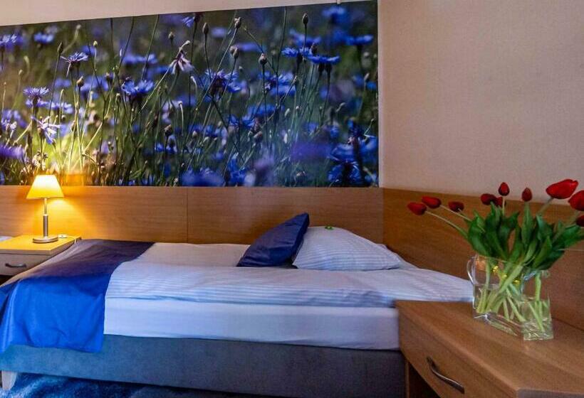 Одноместный Номер Basic, Metropol