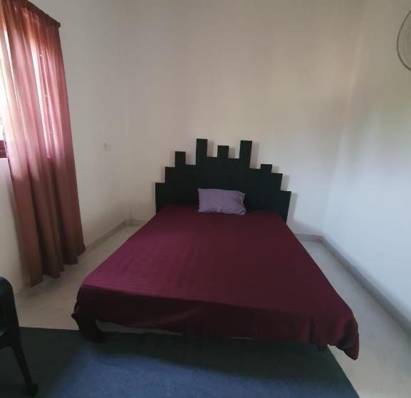 이코노미 룸, Airport Layover B&b