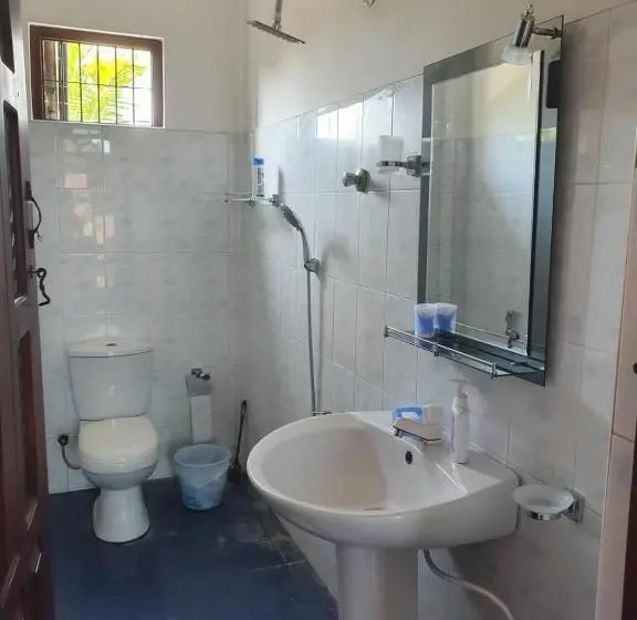 اتاق اکونومی یک تخته, Airport Layover B&b