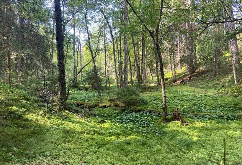 Номер Deluxe Одноместный, Handlarens Villa   Vandrarhem De Luxe