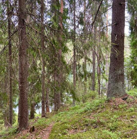 חדר דלוקס יחיד, Handlarens Villa   Vandrarhem De Luxe