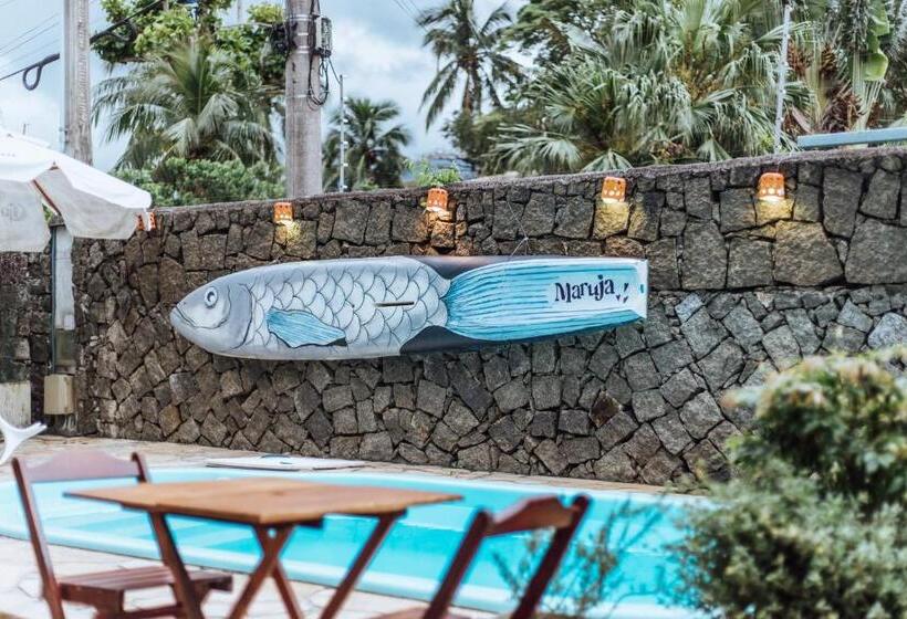 חדר סטנדרט, Maruja