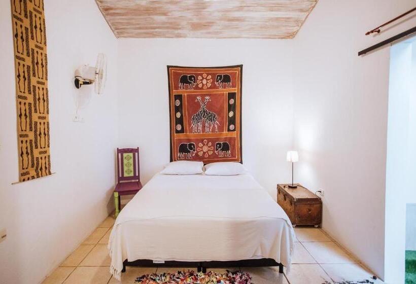 סטודיו דלוקס, Maruja