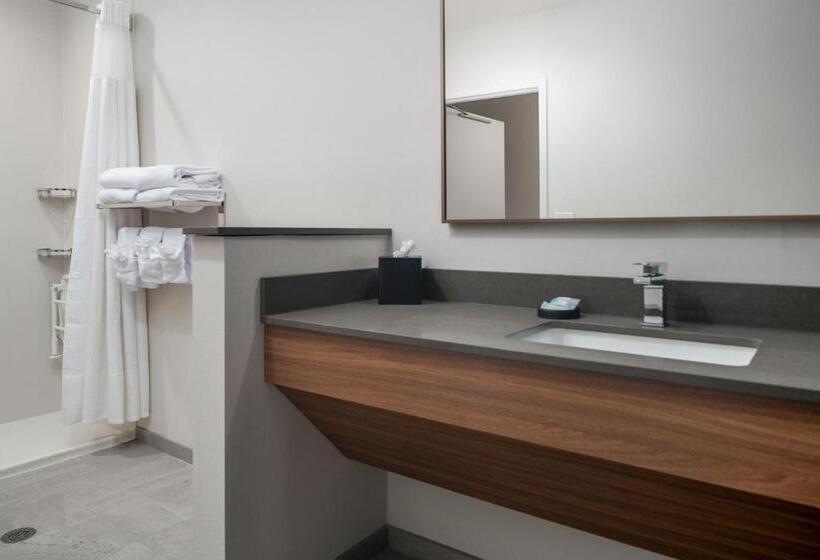 Стандартный Номер Кровать Кинг, Fairfield By Marriott Inn & Suites Albertville