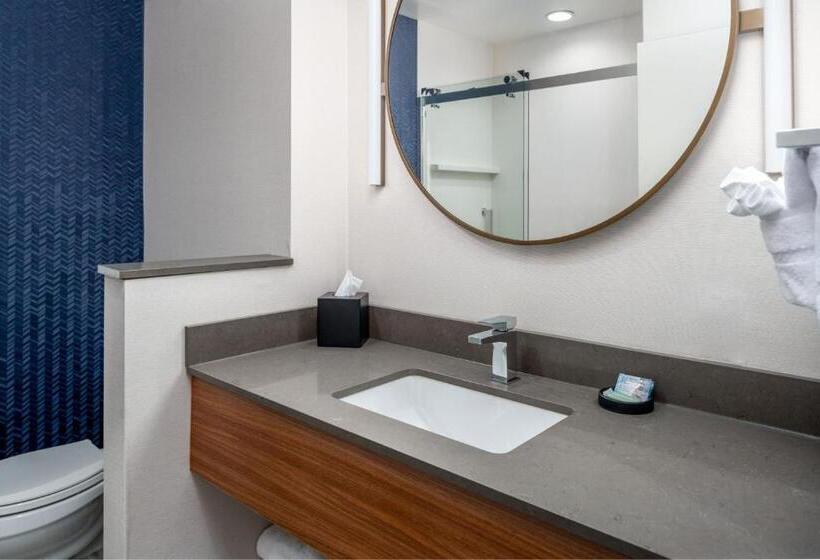 Люкс Кровать Кинг, Fairfield By Marriott Inn & Suites Albertville