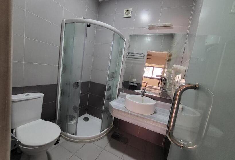 اتاق لوکس سه تخته, Regency