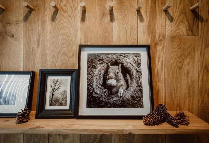 标准间带阳台, Naturhotel Die Maise