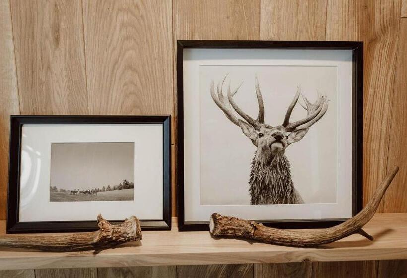 标准间带露台, Naturhotel Die Maise