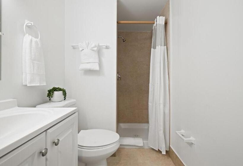 إستوديو قياسى, Sunset Inn South Miami