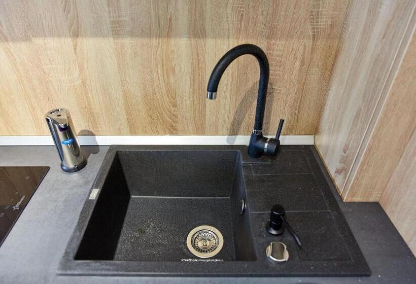 إستوديو قياسى سرير كينج, Apartamente 2 Tomis Villa