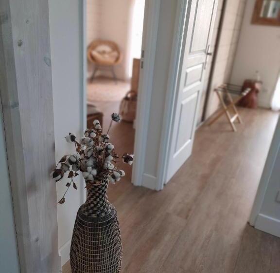 سوییت لوکس, La Cabane Bohème, Maison D Hôtes Bassin D Arcachon