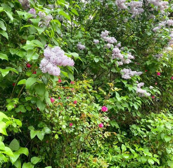 منزل 3 غرف نوم, Château Le Fresne