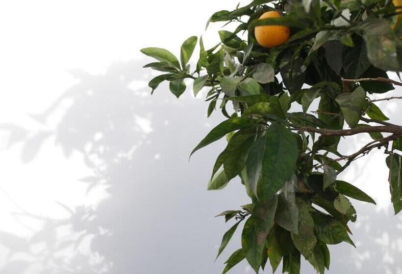 バス共有のスタンダードルーム, Gato Azul   Coliving