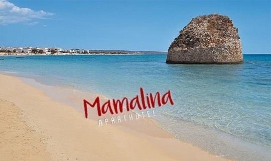 آپارتمان 1 خوابه همکف, Mamalina Residence