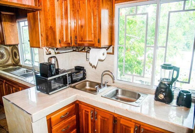 اتاق لوکس, Dela De Rose Guest House Negril Jamaica