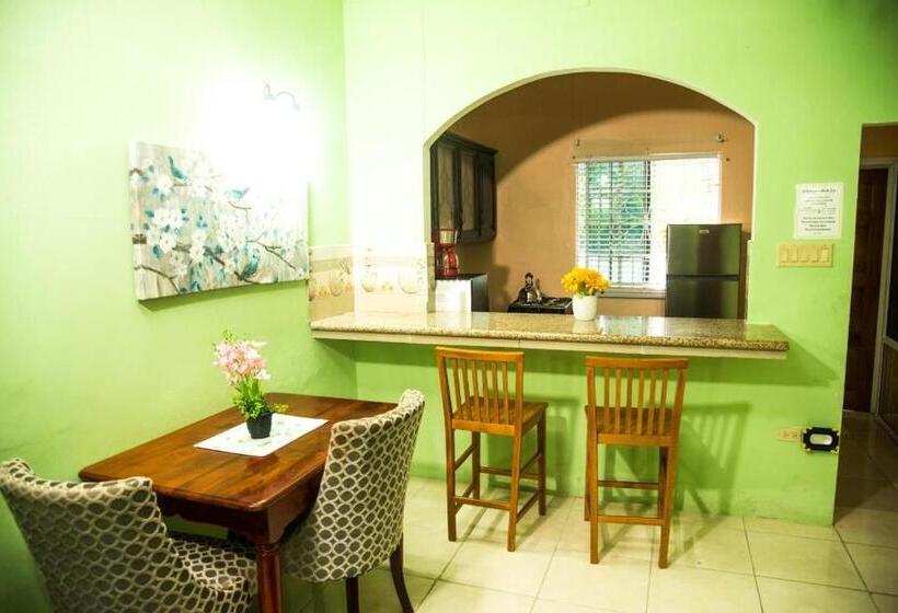 اتاق لوکس, Dela De Rose Guest House Negril Jamaica