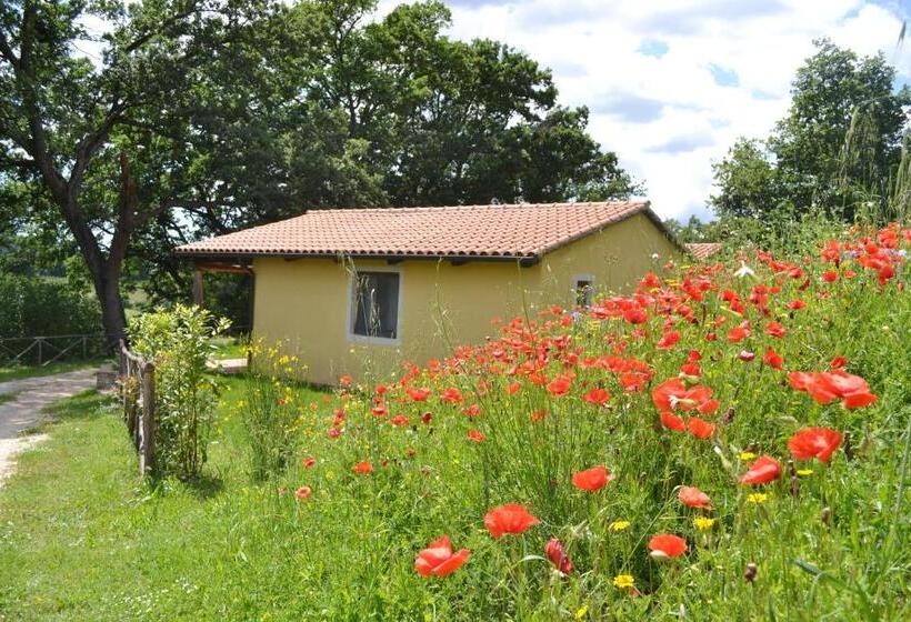 Апартаменты 2 Спальни, Relais Ciavatta Country