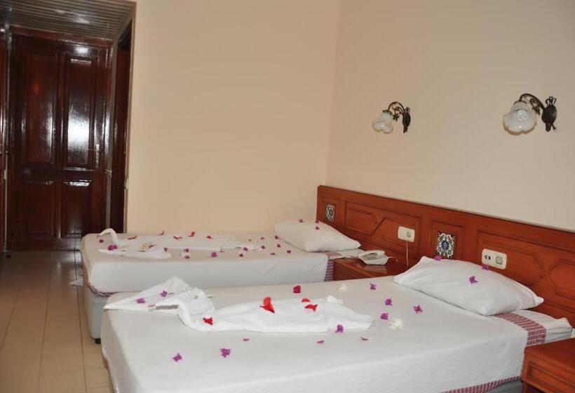 スタンダードルーム, Kaliptus