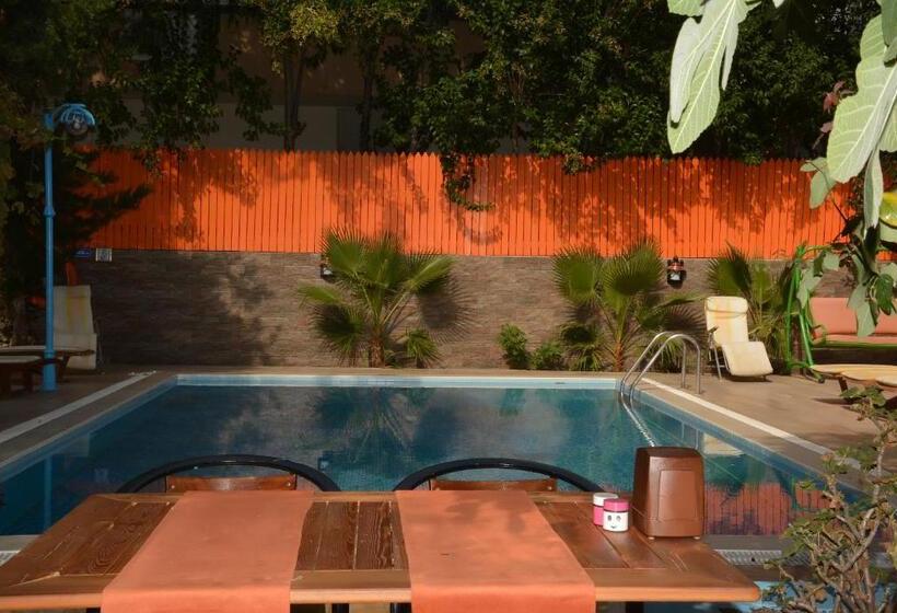 スタンダードトリプルルーム, Kaliptus