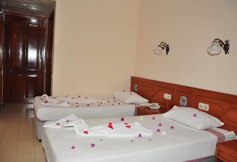 スタンダードトリプルルーム, Kaliptus