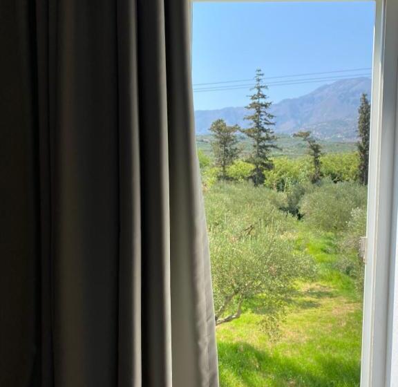 스탠다드 스튜디오, Vardis Olive Garden