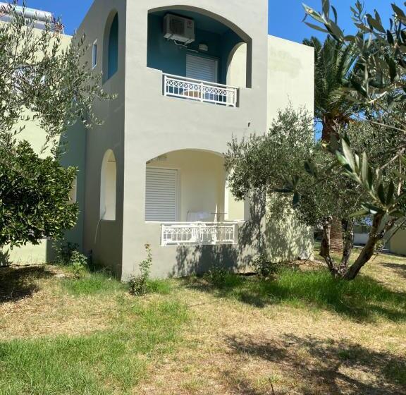 스탠다드 스튜디오, Vardis Olive Garden