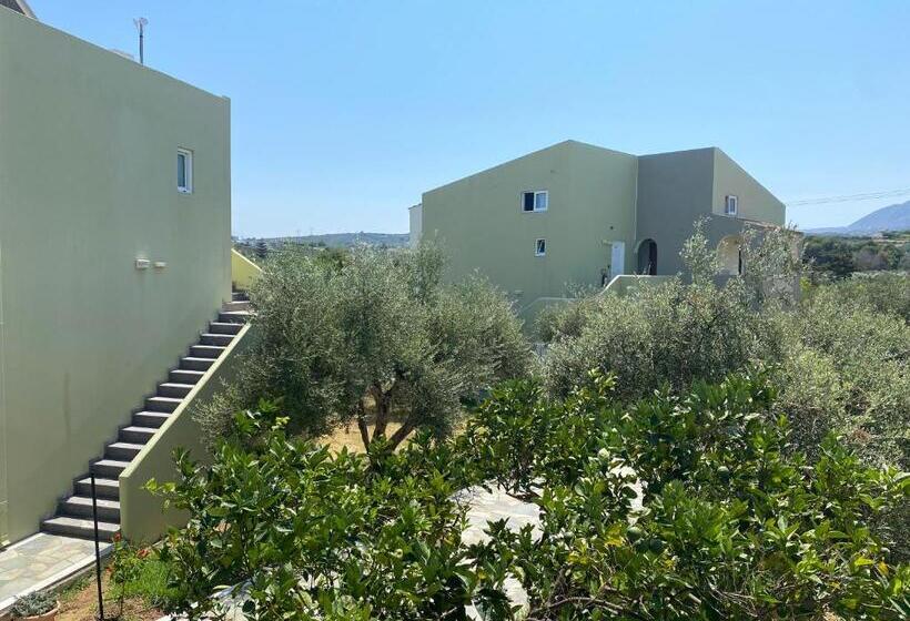 스탠다드 스튜디오, Vardis Olive Garden