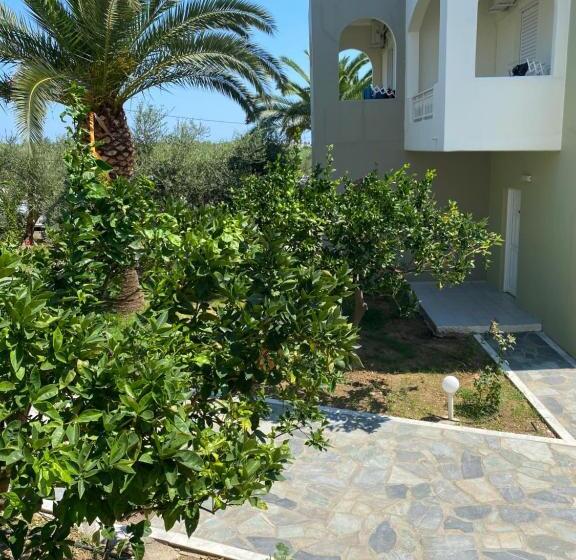 스탠다드 스튜디오, Vardis Olive Garden