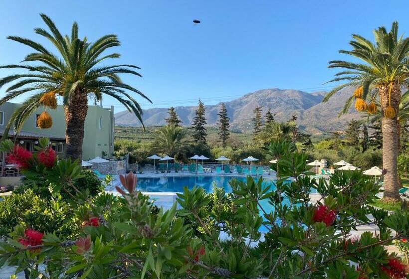 스탠다드 스튜디오, Vardis Olive Garden